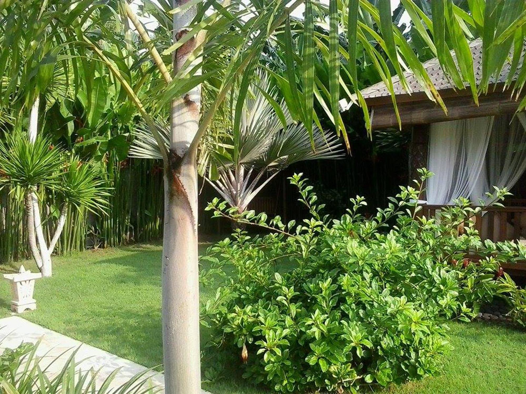 Villa Gusmania Candidasa Pokoj fotografie